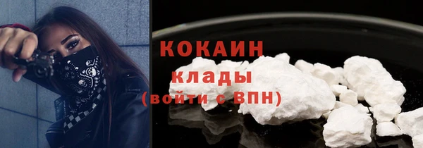прущий лед Алзамай