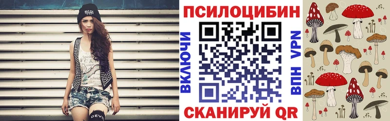 Псилоцибиновые грибы Psilocybine cubensis  как найти наркотики  Аркадак 